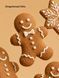 Блиск для губ Victoriaʼs Secret Gingerbread Glitz COS-01-0675 фото 3
