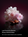 Лосьйон для тіла Velvet Petals Intense COS-01-0100 фото 2