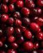 Лосьйон для тіла Cranberry COS-01-0282 фото 2