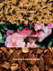 Лосьйон для тіла Camellia Sunset COS-01-0054 фото 2